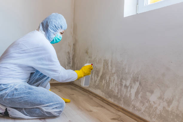 Mold Remediation specialist working in Carrollton